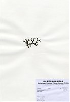 藏品(交織松藻)的圖片